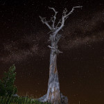 Cielo stellato sul giardino degli Dei