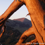 Alba sui Piani di Pollino