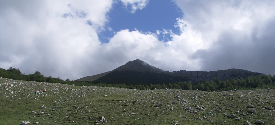 2005-09-11 15-39-29-00