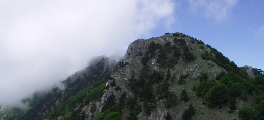 2007-05-20 12-35-16-00