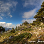 Serra di Crispo