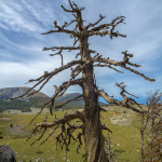 Monumento naturale