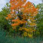 I colori caldi dell'autunno