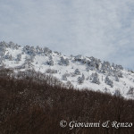 Loricati sulla spalla Est di Serra di Crispo