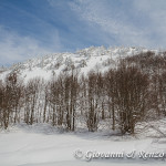 Loricati sulla spalla Est di Serra di Crispo