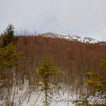 Est di Serra di Crispo