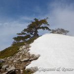 Loricati sulla cresta Sud di Serra delle Ciavole