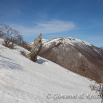 Serra del Prete dalla cresta Nord di Monte Pollino