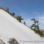 Loricati sulla cresta Nord di Monte Pollino
