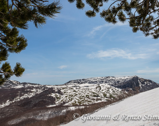 Uno sguardo verso i Piani di Pollino