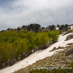Loricati sulla Cresta N