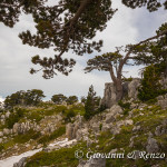 Il Giardino degli Dei