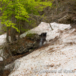 La neve si scioglie in fretta generando torrenti ovunque
