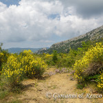 Cresta Madonna di Pollino