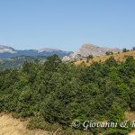 Serra delle Ciavole e Serra di Crispo alle spalle della Falconara