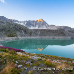 Il Monte Adamello si rispecchia nel lago Venerocolo