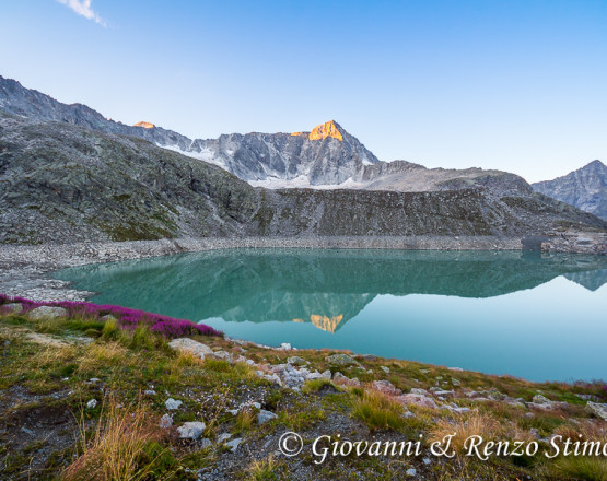 Il Monte Adamello si rispecchia nel lago Venerocolo