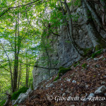 Pareti rocciose nelle gole basse di Iannace