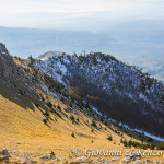 Vallone del faggio grosso