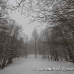 Salendo a Colle Gaudolino