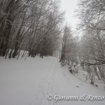 Verso Colle Gaudolino