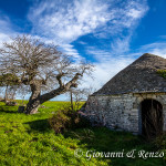 Trullo e Gelso presso la masseria Torre Disperata