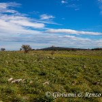 Castel del Monte