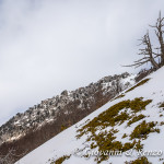 La cresta Ovest di Serra delle Ciavole