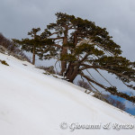 Salendo a Serra delle Ciavole