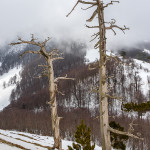 Salendo a Serra delle Ciavole