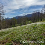 Il Piano di Lanzo