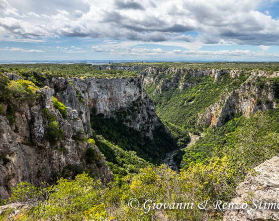 Gravina di Laterza