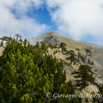 La Timpa del Pino di Michele