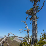 Risalendo la cresta Nord di Serra delle Ciavole