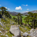 Cavalcando la cresta Nord di Serra delle Ciavole