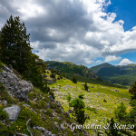 Serra delle Ciavole e Serra Dolcedorme dalla Piana del Pollino