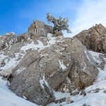 Il loricato nella roccia