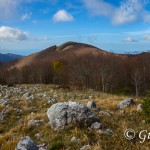 Monte Palanuda