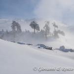 Giganti nella nebbia