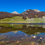 Lago Vivo