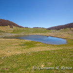 Lago Vivo