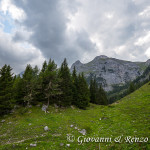 Pascoli alla Tuena