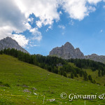 Pascoli alla Tuena