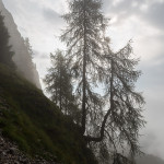 Giganti nella nebbia
