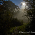 Contrasti di luci e ombre