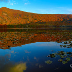 Laghi di Monticchio