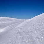 Sfumature di bianco