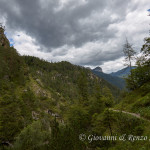 Lungo il sentiero che da Forni di Sopra conduce al Rifugio Giàf