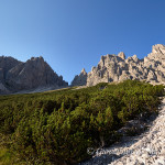Tra mughete e ghiaioni verso la Forcella dei Pecoli