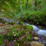 Valle dell'Orfento